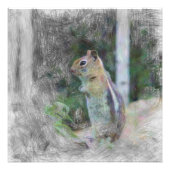 Chipmunk 1 fotodruck (Vorne)