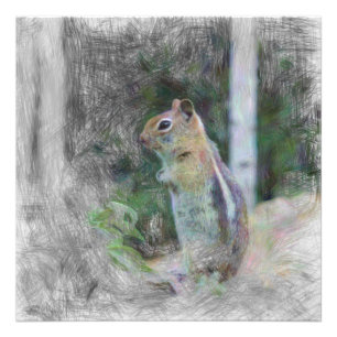 Chipmunk 1 fotodruck