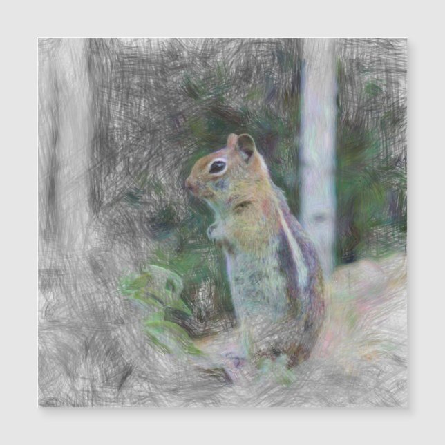Chipmunk 1 magnetkarte (Vorderseite)