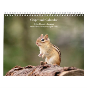Chipmunk 2025 kalender