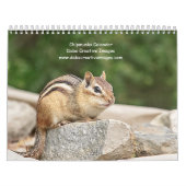 Chipmunk 2026 kalender (Titelbild)