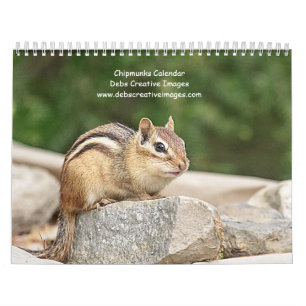 Chipmunk 2026 kalender