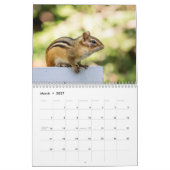 Chipmunk 2026 kalender (Mär 2027)