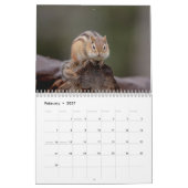 Chipmunk 2026 kalender (Feb 2027)