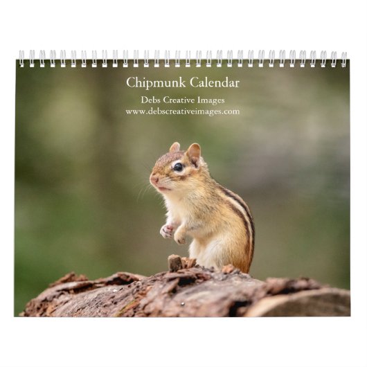 Chipmunk 2026 kalender (Titelbild)