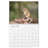 Chipmunk 2026 kalender (Jan 2027)