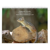 Chipmunk 2026 kalender (Titelbild)