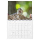 Chipmunk 2026 kalender (Jan 2027)