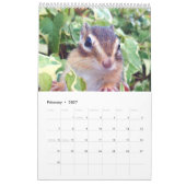 chipmunk (All countries) Kalender (Feb 2027)