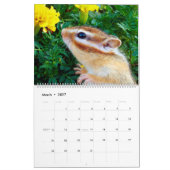 chipmunk  (All country) Kalender (Mär 2027)