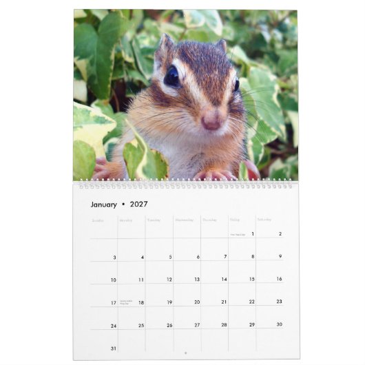 chipmunk  (All country) Kalender (Jan 2027)
