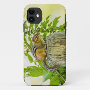 Chipmunk an einem Zaun Case-Mate iPhone Hülle