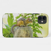 Chipmunk an einem Zaun Case-Mate iPhone Hülle (Rückseite (Horizontal))
