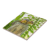 Chipmunk an einem Zaun Fliese (Seite)