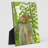 Chipmunk an einem Zaun Fotoplatte (Seite)