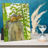 Chipmunk an einem Zaun Fotoplatte (Seite)