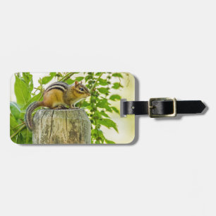 Chipmunk an einem Zaun Gepäckanhänger