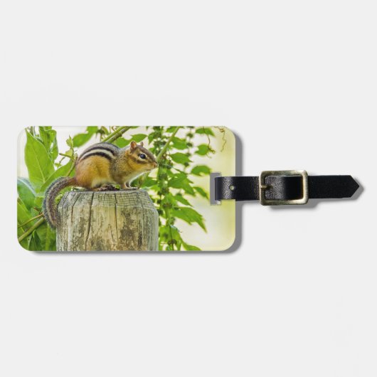 Chipmunk an einem Zaun Gepäckanhänger (Vorderseite horizontal)