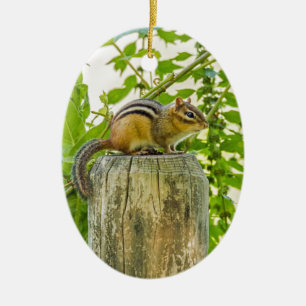 Chipmunk an einem Zaun Keramik Ornament