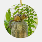 Chipmunk an einem Zaun Keramik Ornament (Vorne)