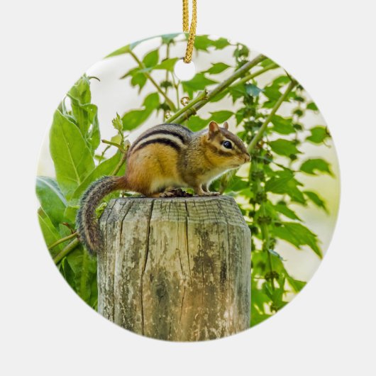 Chipmunk an einem Zaun Keramik Ornament (Vorne)