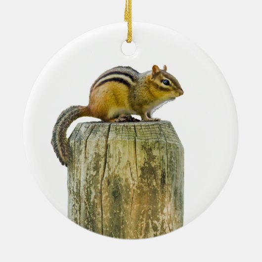 Chipmunk an einem Zaun Keramik Ornament (Hinten)