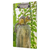 Chipmunk an einem Zaun Klemmbrett (Links)