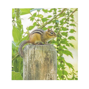 Chipmunk an einem Zaun Notizblock