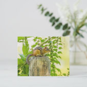Chipmunk an einem Zaun Postkarte (Stehend Vorderseite)