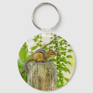 Chipmunk an einem Zaun Schlüsselanhänger