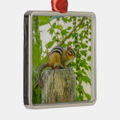 Chipmunk an einem Zaun Silbernes Ornament (Rechts)