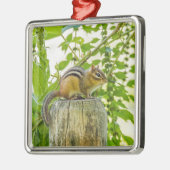 Chipmunk an einem Zaun Silbernes Ornament (Links)