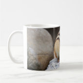 Chipmunk auf einem Felsen Kaffeetasse (Links)