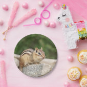 Chipmunk auf einem Felsen Pappteller (Party)