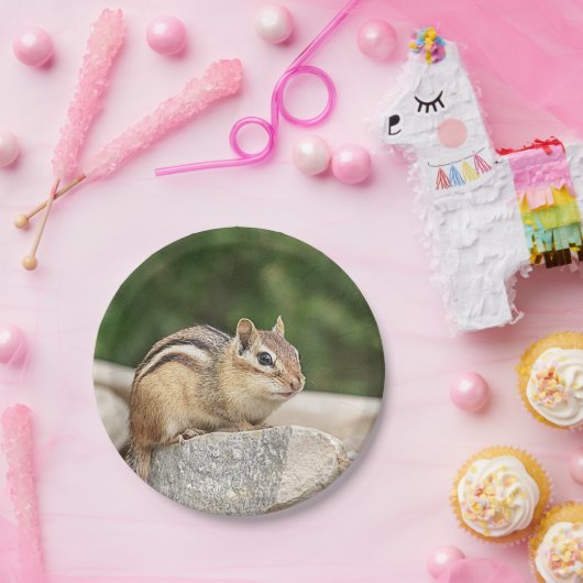 Chipmunk auf einem Felsen Pappteller (Party)