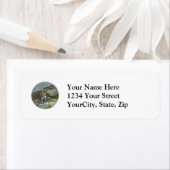 Chipmunk auf Rock Items (Insitu)