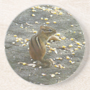 Chipmunk auf Rock Items Getränkeuntersetzer