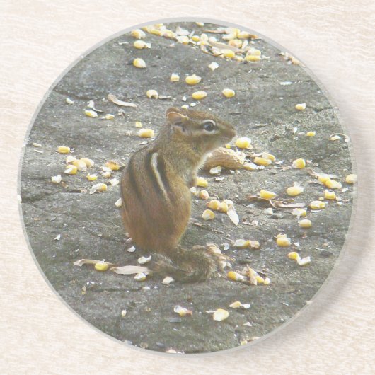 Chipmunk auf Rock Items Getränkeuntersetzer (Vorne)