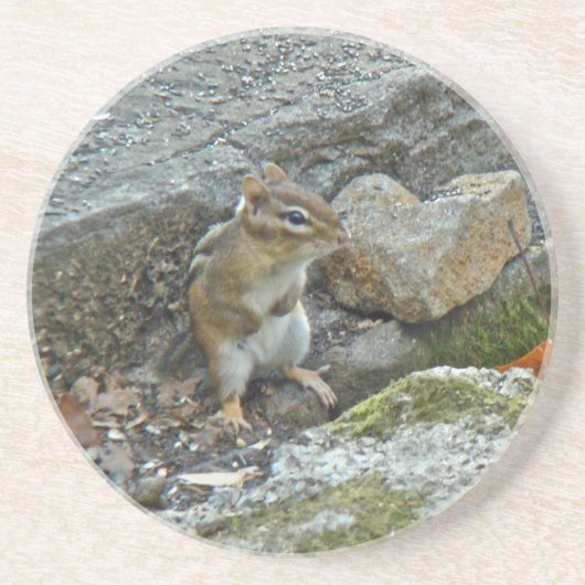 Chipmunk auf Rock Items Getränkeuntersetzer (Vorne)