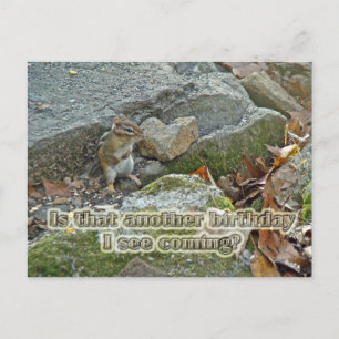 Chipmunk auf Rock Items zum Geburtstag Postkarte