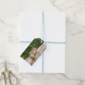 Chipmunk auf Stein Geschenkanhänger (Mit Garn)