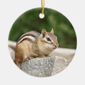 Chipmunk auf Stein Keramikornament (Vorne)