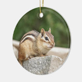 Chipmunk auf Stein Keramikornament (Links)