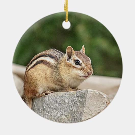 Chipmunk auf Stein Keramikornament (Hinten)