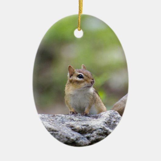 Chipmunk auf Stein Keramikornament (Vorne)