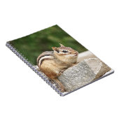 Chipmunk auf Stein Notizblock (Rechte Seite)