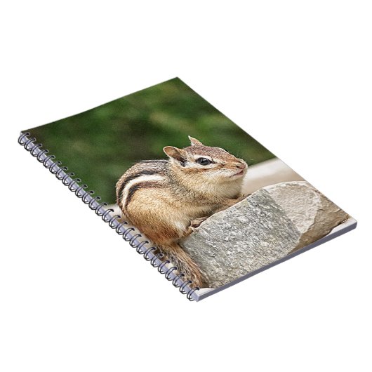 Chipmunk auf Stein Notizblock (Rechte Seite)