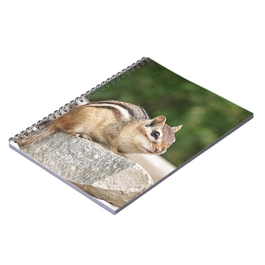 Chipmunk auf Stein Notizblock (Linke Seite)