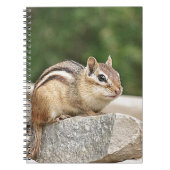 Chipmunk auf Stein Notizblock (Vorderseite)