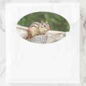 Chipmunk auf Stein Ovaler Aufkleber (Tasche)
